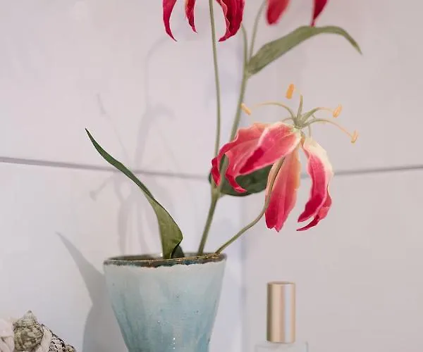 Lodgenr18 * Apeldoorn